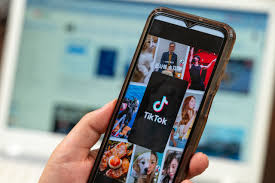 Snaptik vs. SnapSave: Full Comparison for TikTok Video Downloads